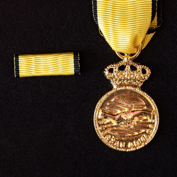 Medalla-Conmemorativa-Participación-en-la-DANA-2024